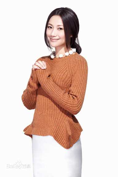 徐静蕾(Xu Jinglei)