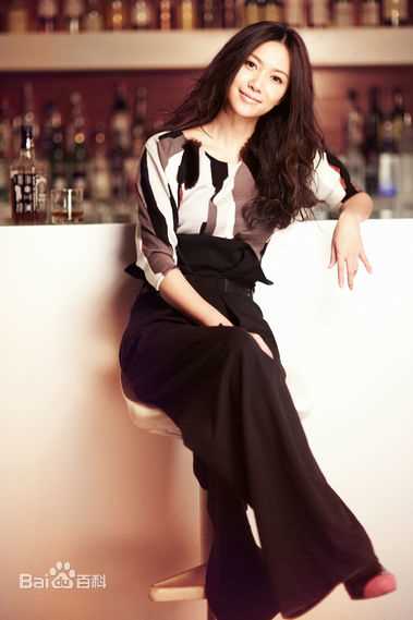 徐静蕾(Xu Jinglei)