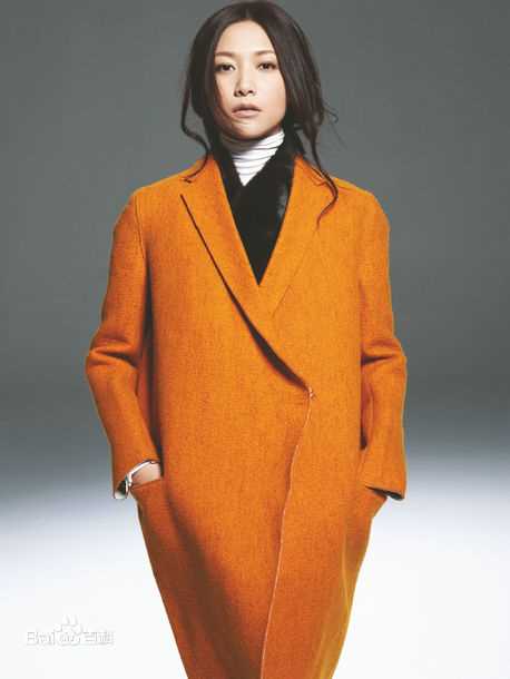 徐静蕾(Xu Jinglei)