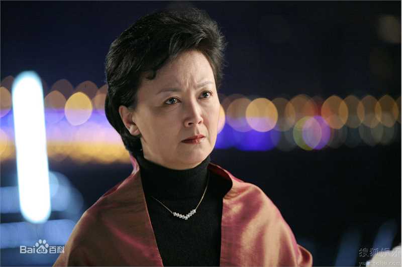 最全徐静蕾(Xu Jinglei)精彩图册