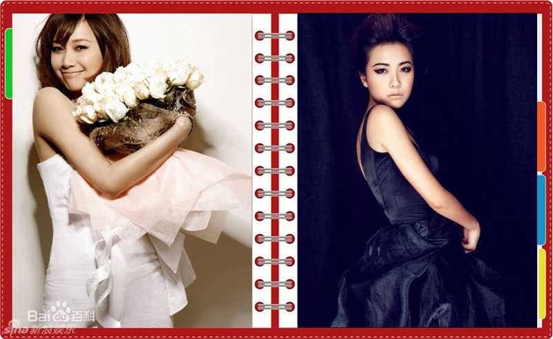 最全徐静蕾(Xu Jinglei)精彩图册