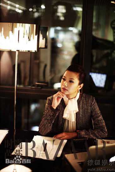 高清徐静蕾(Xu Jinglei)精彩图册