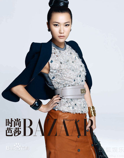 高清徐静蕾(Xu Jinglei)精彩图册