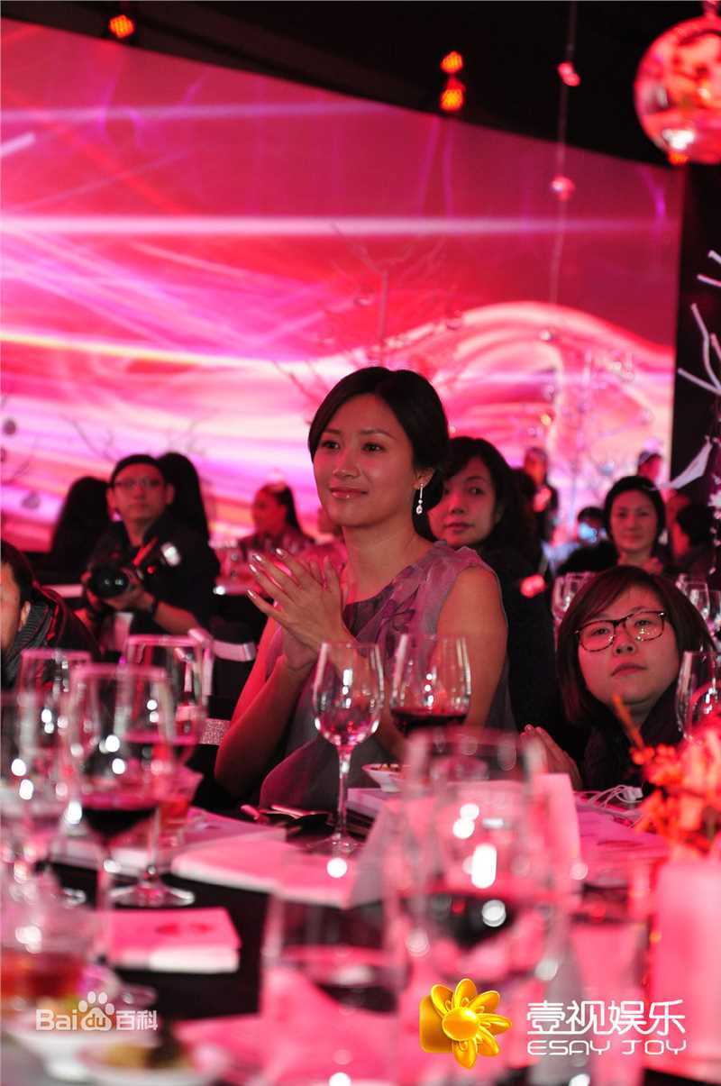 最全徐静蕾(Xu Jinglei)精彩图册3