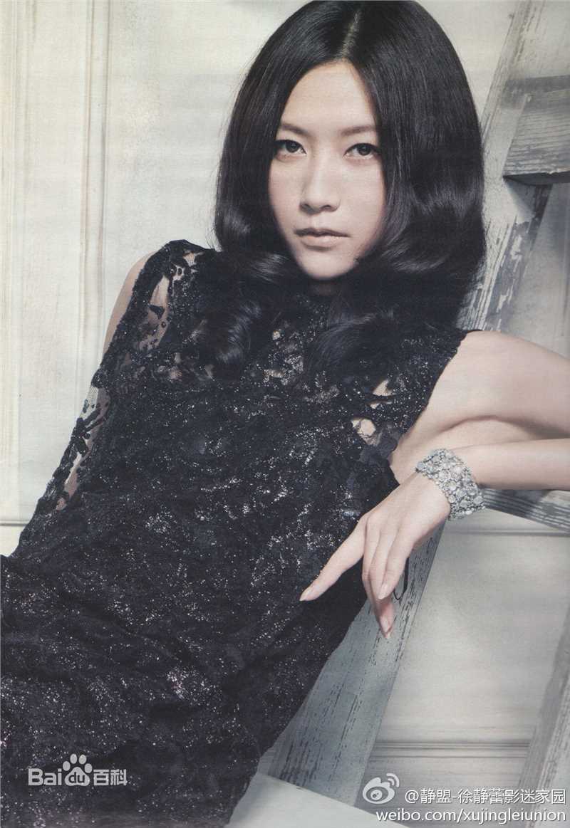 精选徐静蕾(Xu Jinglei)精彩图册2