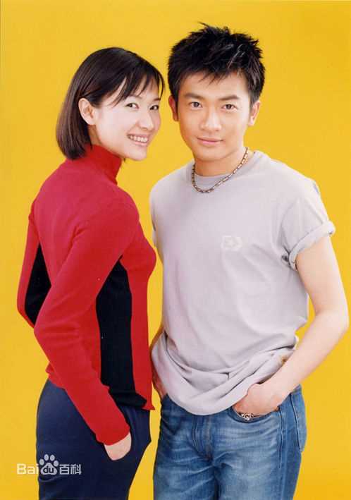 最优质徐静蕾(Xu Jinglei)精彩图册