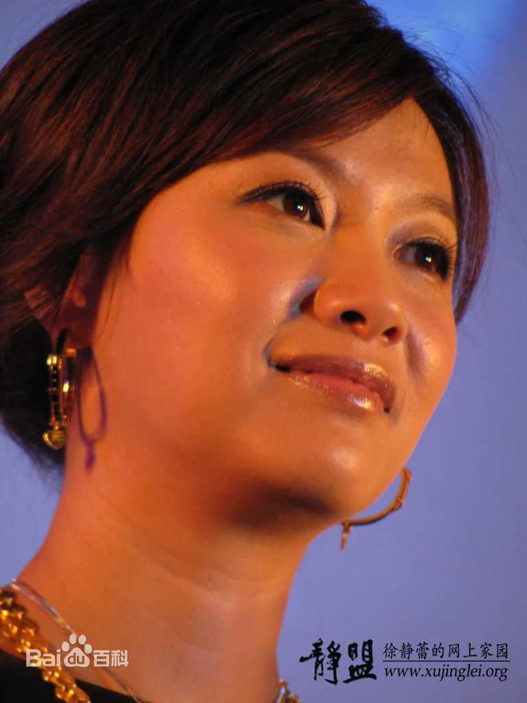 最优质徐静蕾(Xu Jinglei)精彩图册