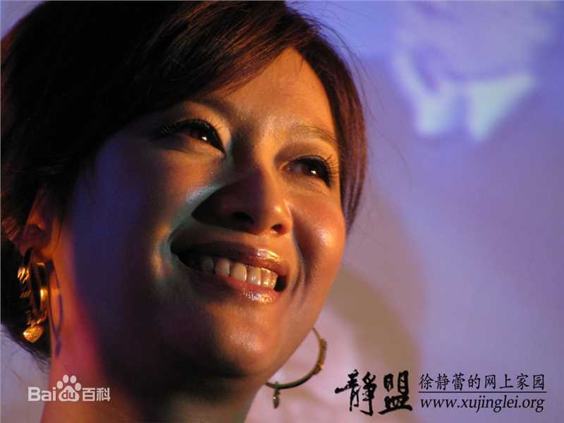 最优质徐静蕾(Xu Jinglei)精彩图册