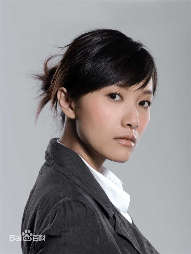 最优质徐静蕾(Xu Jinglei)精彩图册