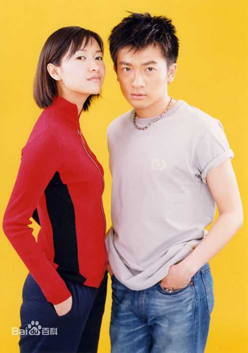 最优质徐静蕾(Xu Jinglei)精彩图册