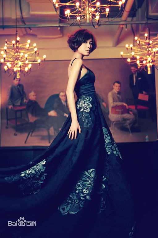 最新徐静蕾(Xu Jinglei)精彩图册1