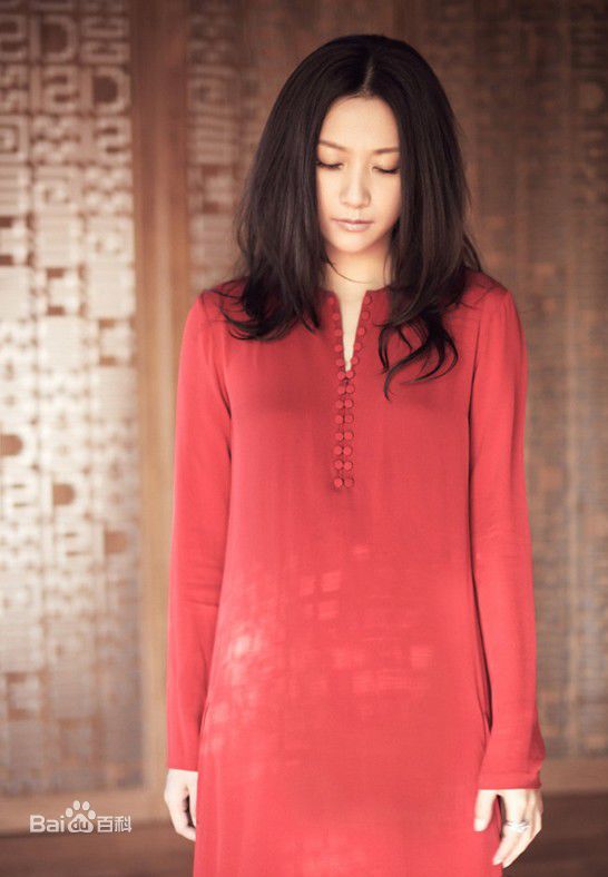 最新徐静蕾(Xu Jinglei)精彩图册1