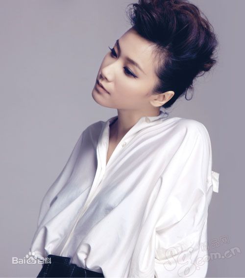 最新徐静蕾(Xu Jinglei)精彩图册1