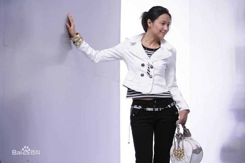 高清徐静蕾(Xu Jinglei)精彩图册