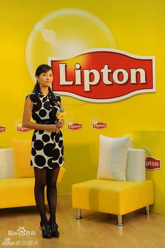 最新徐静蕾(Xu Jinglei)精彩图册