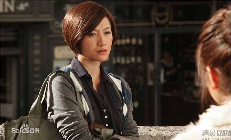 精选徐静蕾(Xu Jinglei)精彩图册