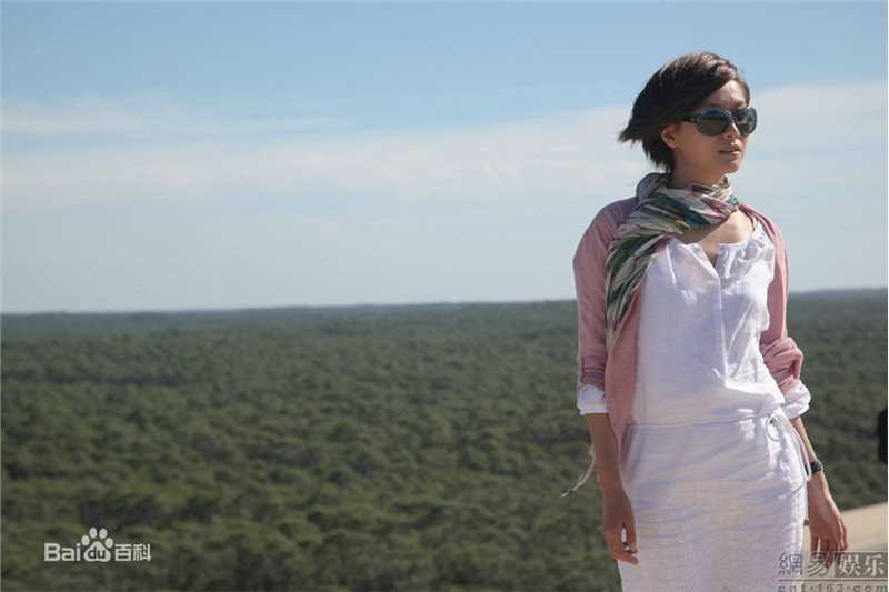 精选徐静蕾(Xu Jinglei)精彩图册