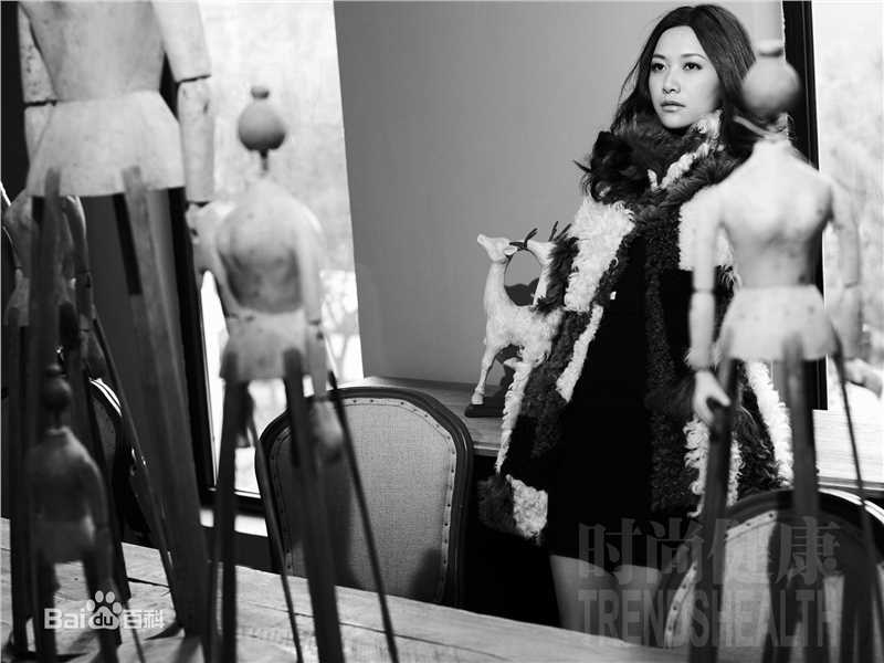 精选徐静蕾(Xu Jinglei)精彩图册