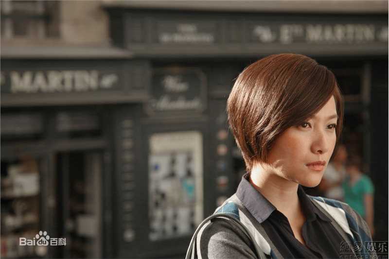 精选徐静蕾(Xu Jinglei)精彩图册