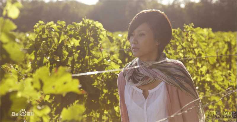 精选徐静蕾(Xu Jinglei)精彩图册