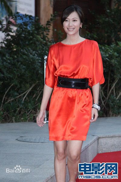 徐静蕾(Xu Jinglei)电影导演协会2010年度表彰大会性感图片图集