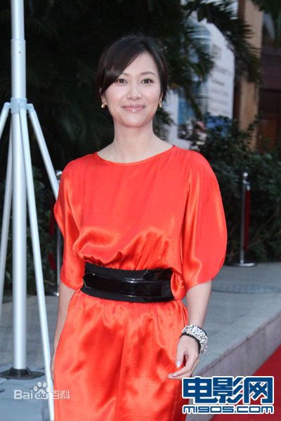 徐静蕾(Xu Jinglei)电影导演协会2010年度表彰大会性感图片图集