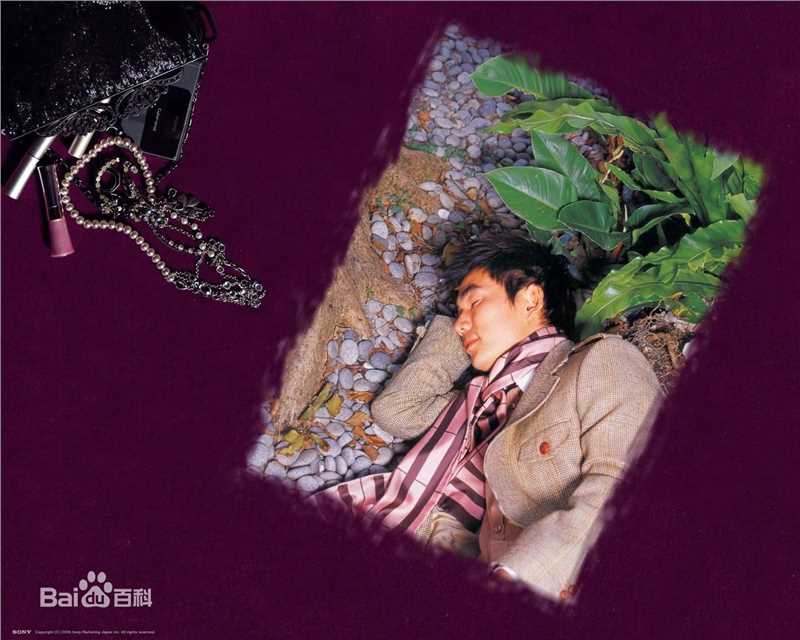 高清任贤齐(Richie Jen)精彩图册