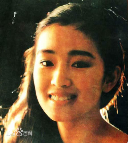 巩俐(Gong Li)最全早年壁纸