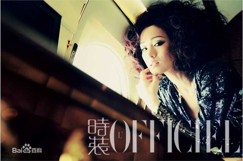 最优质巩俐(Gong Li)精彩图册