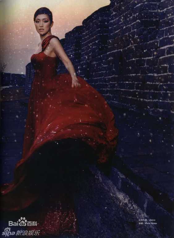 最优质巩俐(Gong Li)精彩图册