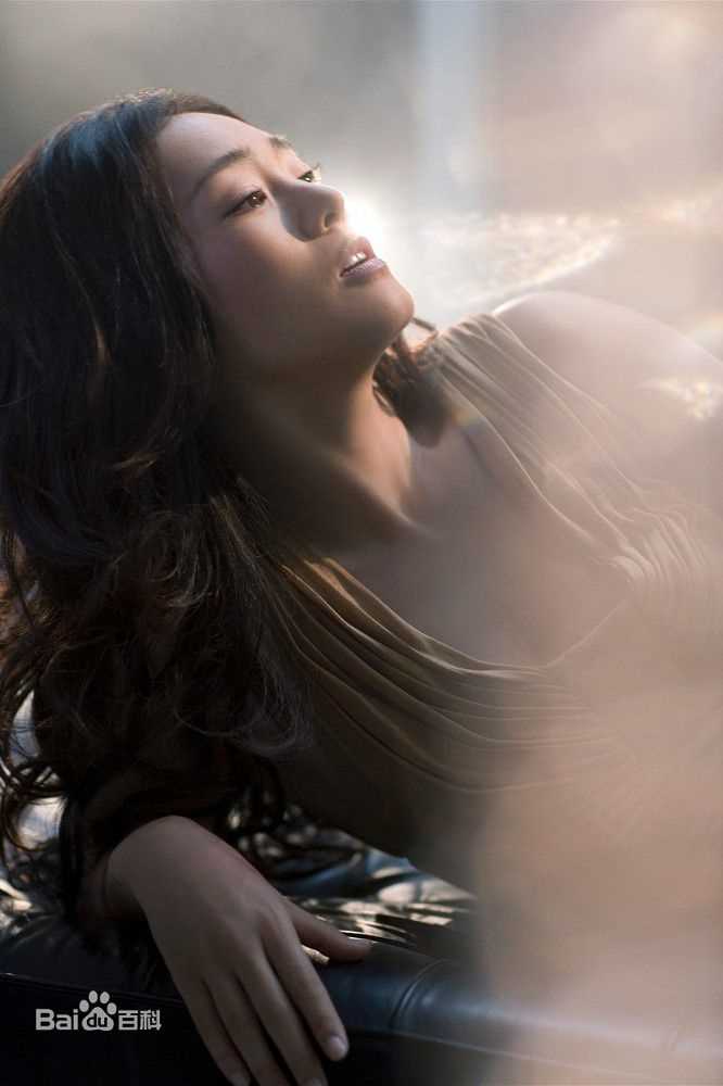 精选巩俐(Gong Li)精彩图册