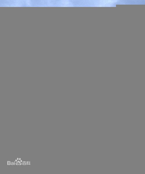 精选巩俐(Gong Li)精彩图册