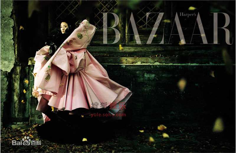 精选巩俐(Gong Li)精彩图册