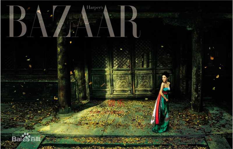 精选巩俐(Gong Li)精彩图册