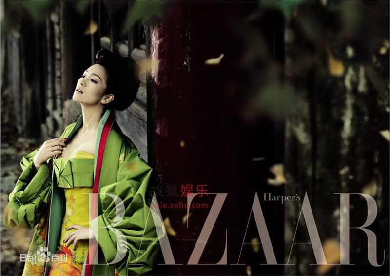 精选巩俐(Gong Li)精彩图册