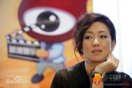 巩俐(Gong Li)做客某网站壁纸壁纸