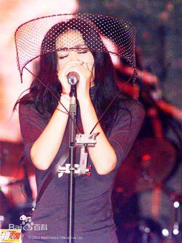 王菲(Faye Wong)舞台上的性感图片图集