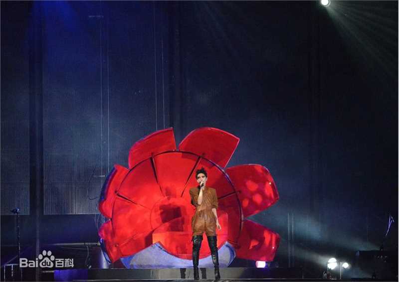 王菲(Faye Wong)2011巡唱 成都图片图册