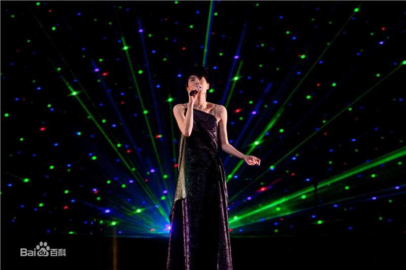 王菲(Faye Wong)2011巡唱 成都图片图册