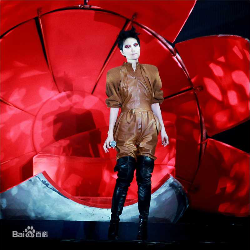王菲(Faye Wong)2011巡唱 成都图片图册