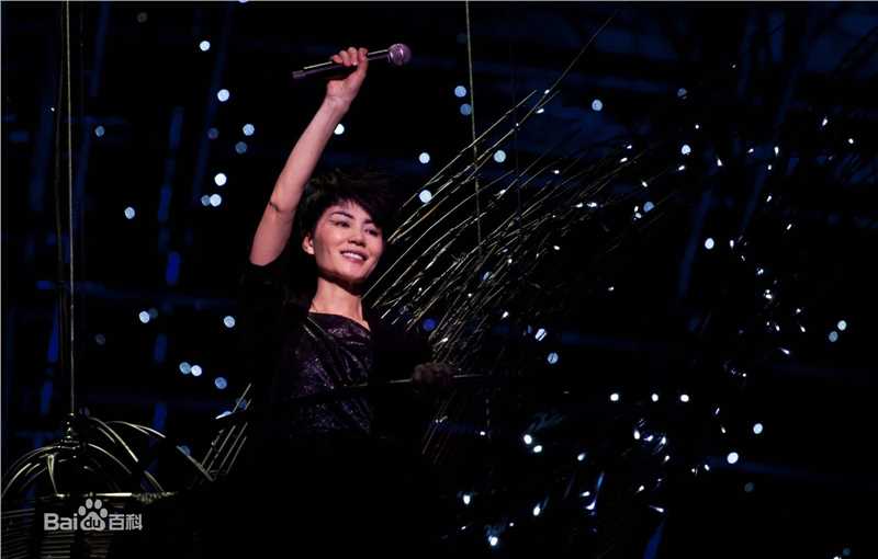 王菲(Faye Wong)2011巡唱 成都图片图册