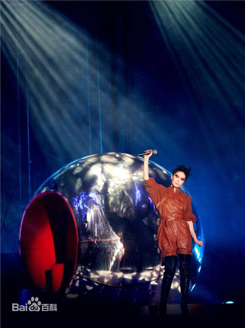 王菲(Faye Wong)2011巡唱 成都图片图册