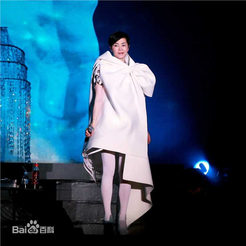 王菲(Faye Wong)2011巡唱 成都图片图册