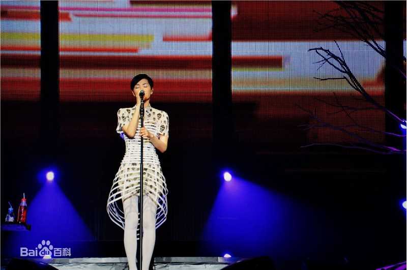 王菲(Faye Wong)2011巡唱 成都图片图册