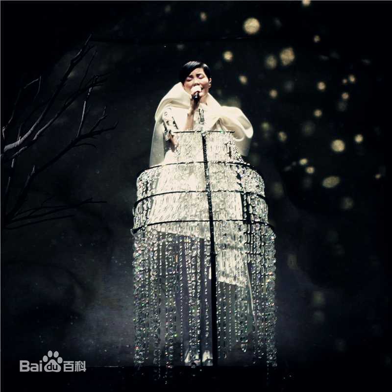 王菲(Faye Wong)2011巡唱 成都图片图册