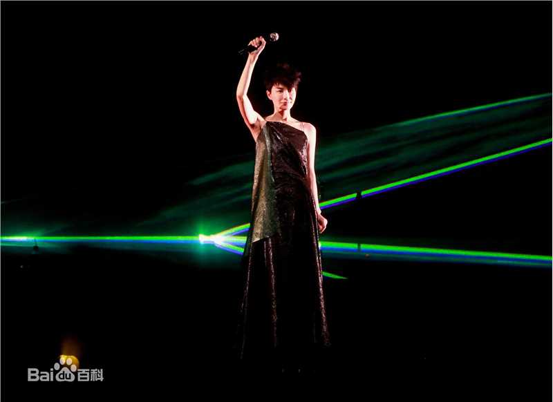 王菲(Faye Wong)2011巡唱 成都图片图册