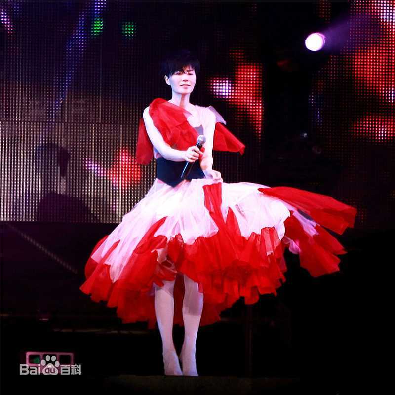 王菲(Faye Wong)2011巡唱 成都图片图册