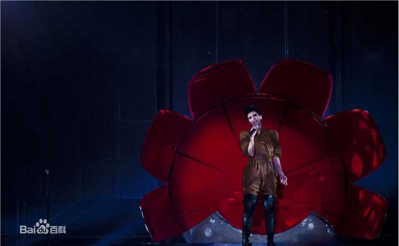 王菲(Faye Wong)2011巡唱 成都图片图册