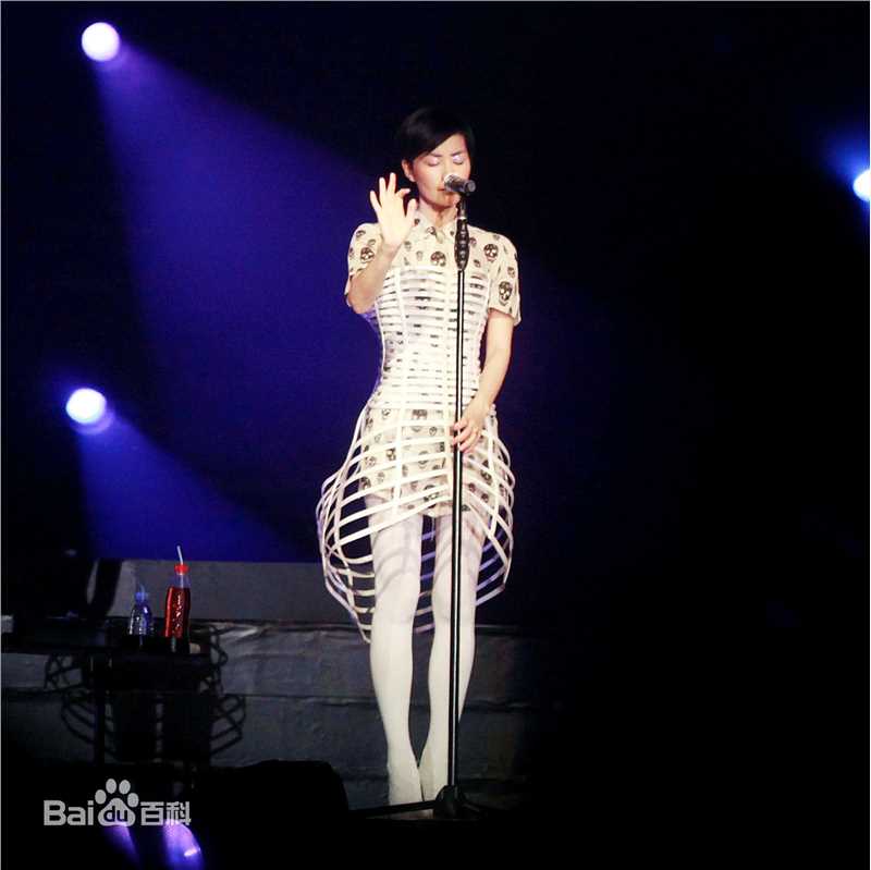王菲(Faye Wong)2011巡唱 成都图片图册