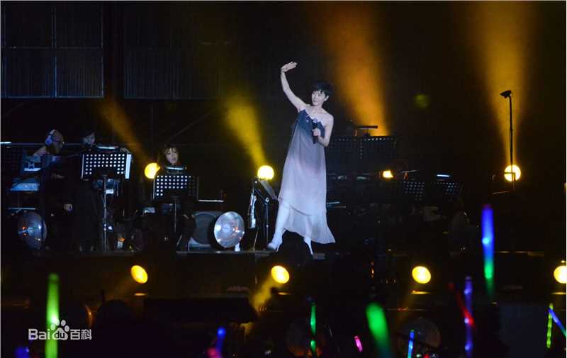 王菲(Faye Wong)2011巡唱 成都图片图册